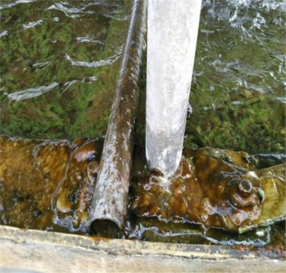 佛山德滤过滤案例